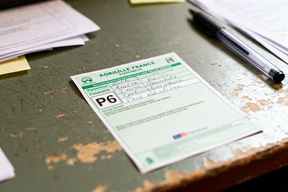 Formulaire vert sur bureau avec mention P6 sur la carte grise à côté d'un stylo